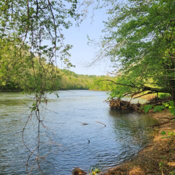 Photographie intitulée "Conemaugh River" par Joanna Lizbeth, Œuvre d'art originale, Photographie non manipulée
