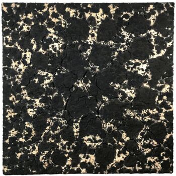 Pintura titulada "UNTITLED Black & Wh…" por Joanna Morani, Obra de arte original, Pigmentos