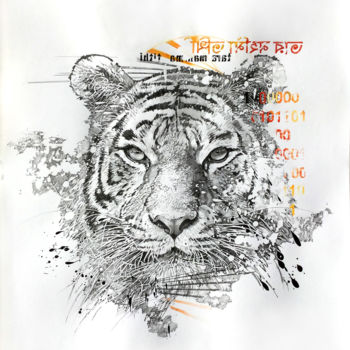 Disegno intitolato "Tigre" da Joanna Zurek, Opera d'arte originale, Matita