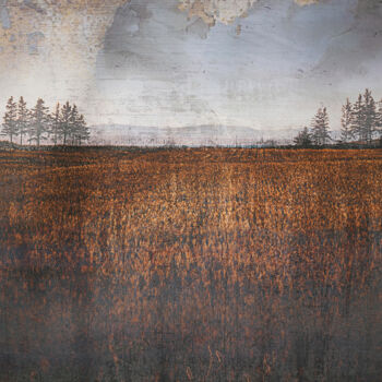 Digital Arts titled "Rusty Metal Field." by Joanne Lemay, Original Artwork, Digital Painting