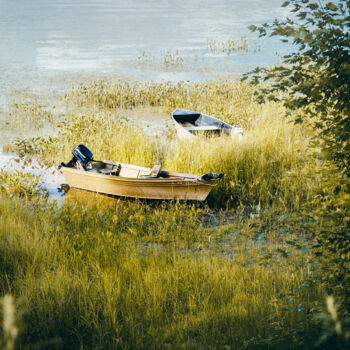 摄影 标题为“Après-midi au lac.” 由Joanne Lemay, 原创艺术品, 数码摄影