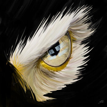 Arte digital titulada "Oeil aigle américain" por Jocelyn Bouget (crealab), Obra de arte original, Pintura Digital