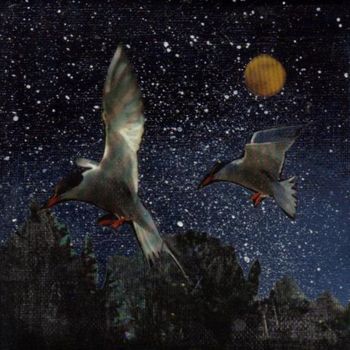 「oiseaux la nuit」というタイトルのコラージュ Jocelyne Chambellanによって, オリジナルのアートワーク, その他
