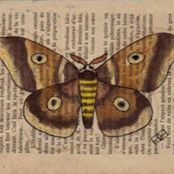 Collages titled "papillon-de-nuit." by Jocelyne Chambellan, Original Artwork, Other