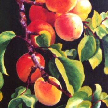 Peinture intitulée "abricots" par Jocelyne Clerge, Œuvre d'art originale