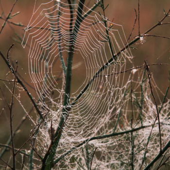Photography titled "toile d'araignée" by Josette Lanusse, Original Artwork, Digital Photography