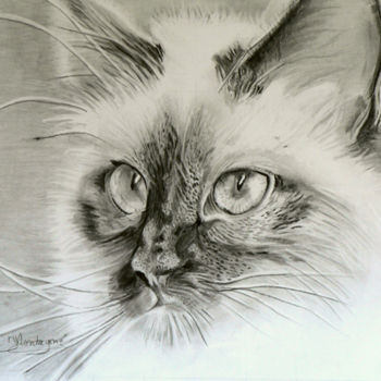 Dessin intitulée "Portrait de chat" par Joëlle Montagné, Œuvre d'art originale, Crayon