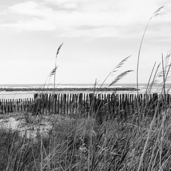 Photographie intitulée "triples barrières" par Joel Lescoules, Œuvre d'art originale, Photographie numérique Monté sur Alumi…