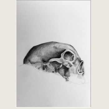 Drawing titled "Skull.jpg" by Johann Krammer, Original Artwork, Pencil