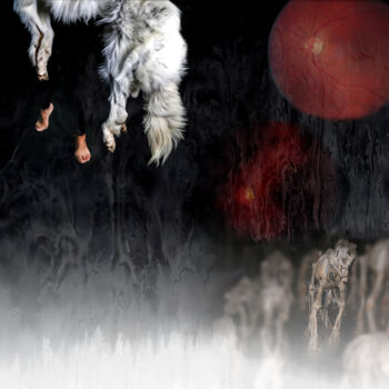 Fotografia intitolato "Lune rouge" da Johanne Chagnon, Opera d'arte originale, Fotografia digitale