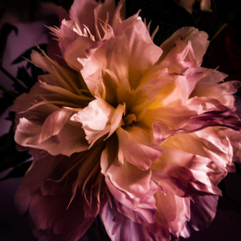 Digitale Kunst getiteld "flower-m105-by-joha…" door Johannes Murat, Origineel Kunstwerk