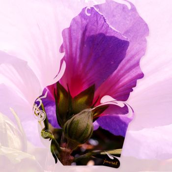 Digitale Kunst mit dem Titel "Flower Portrait  M0…" von Johannes Murat, Original-Kunstwerk, Collagen