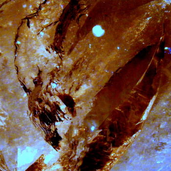 Digital Arts titled "crystal" by John Calder Gunn, Original Artwork