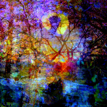 Digitale Kunst getiteld "Lucid Dream" door John Calder Gunn, Origineel Kunstwerk