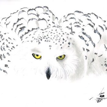 Dibujo titulada "Snowy Owl" por John Creekmore, Obra de arte original, Tinta