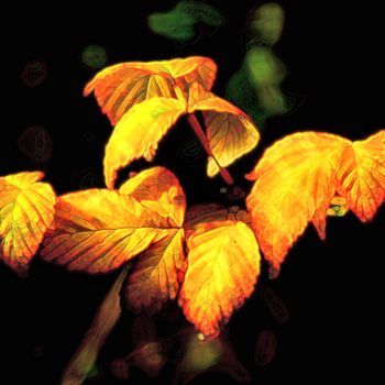 Digital Arts titled "autumn" by J.Jokko, Original Artwork, Digital Painting