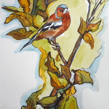 Painting titled "Chaffinch" by John Macfarlan, Original Artwork, Ink