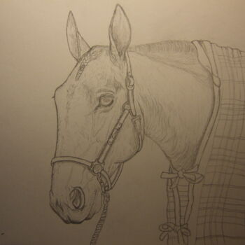 Drawing titled "Timoko, vainqueur d…" by John Regnier, Original Artwork, Pencil Mounted on Glass