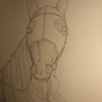 Drawing titled "Le trotteur Ourasi" by John Regnier, Original Artwork, Pencil Mounted on Glass