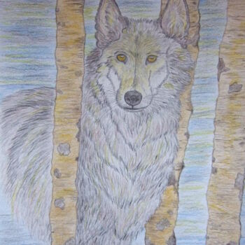 Drawing titled "Loup" by John Regnier, Original Artwork, Pencil