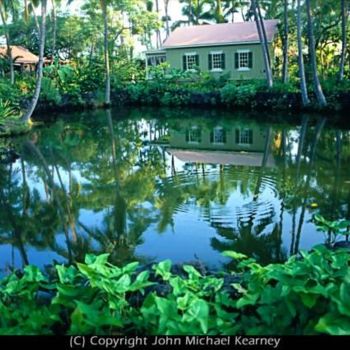 Photography titled "Hawaii Pond" by John Michael Kearney, Original Artwork