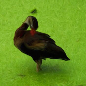 Digital Arts titled "Duck & Turtle" by Jokannan, Original Artwork, Digital Painting