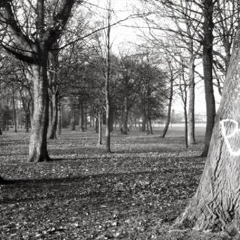 Fotografie mit dem Titel "Northwood park" von Jonathan Talks, Original-Kunstwerk