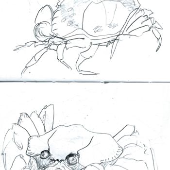 Schilderij getiteld "crab-front-and-back…" door Jon Phillipson Brown, Origineel Kunstwerk