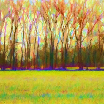 Digital Arts titled "Forest in Autumn Li…" by Jon Woodhams, Original Artwork, Photo Montage