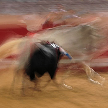 Fotografia zatytułowany „corrida7” autorstwa Robert Jordan, Oryginalna praca