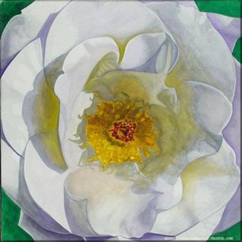 Pittura intitolato "white rose" da Jorge Gallardo, Opera d'arte originale, Olio