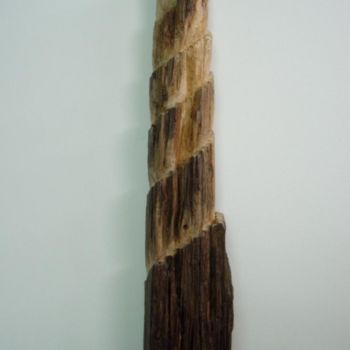 Sculpture titled "expiral" by Jorgemiguele, Original Artwork, Wood