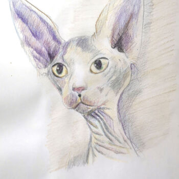 Peinture intitulée "Imagen de un Gato e…" par Josan Artista, Œuvre d'art originale, Crayon