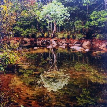 Malarstwo zatytułowany „Perfect water lands…” autorstwa José Antonio Castro-Muñiz, Oryginalna praca, Akryl Zamontowany na Dr…