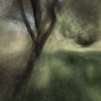 摄影 标题为“Un árbol y un museo” 由José Antonio Muñoz, 原创艺术品, 光绘摄影