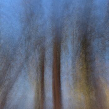Fotografie getiteld "Tres Trees" door José Antonio Muñoz, Origineel Kunstwerk, Light Painting