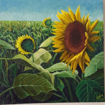 Painting titled "Girasoles" by Danilo Fortin, Original Artwork, Oil