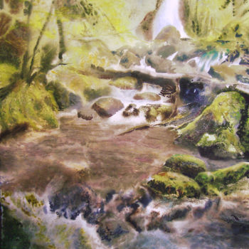 Peinture intitulée "a wild place" par Joseph Caldwell, Œuvre d'art originale, Aquarelle