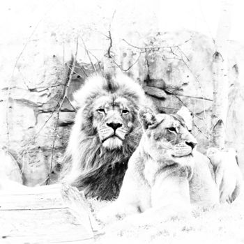 Photography titled "lions-842" by Josy Moderne, Original Artwork, Manipulated Photography