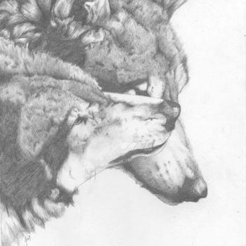 Tekening getiteld "2 wolves" door Joy Prillard, Origineel Kunstwerk, Potlood