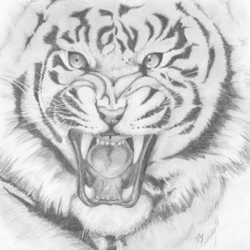 「tigre.jpg」というタイトルの描画 Joy Prillardによって, オリジナルのアートワーク