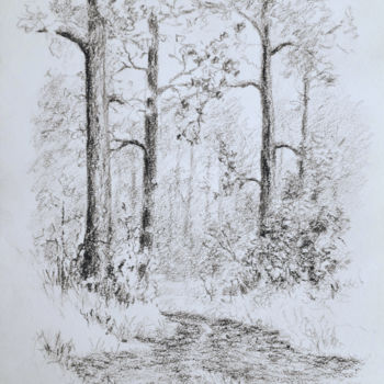 Disegno intitolato "Le sentier forestier" da Jean-Pierre Cousin, Opera d'arte originale, Grafite