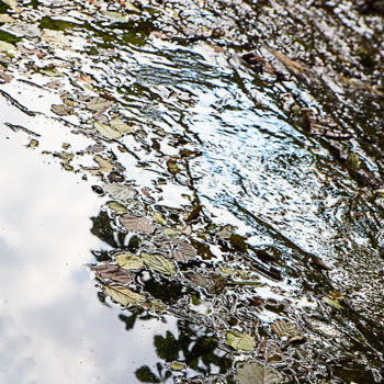 Fotografia intitolato "Eau dormante" da Jean Pierre Fleury, Opera d'arte originale, Fotografia digitale