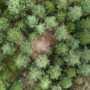 Photographie intitulée "A la bonne-place.jpg" par Jean Pierre Fleury, Œuvre d'art originale