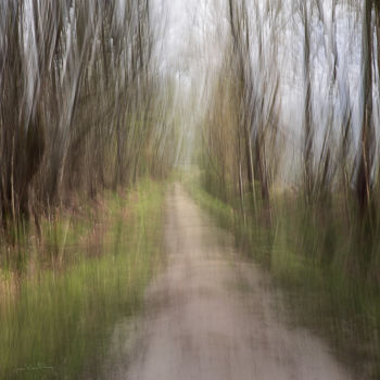 Photographie intitulée "Impression" par Jean Pierre Fleury, Œuvre d'art originale, Photographie numérique