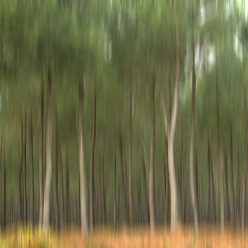 Photographie intitulée "Pin perdus 4" par Jean Pierre Fleury, Œuvre d'art originale, Photographie numérique