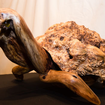 Sculpture intitulée "TURTLE" par José Paulo Pereira Fernandes, Œuvre d'art originale, Bois