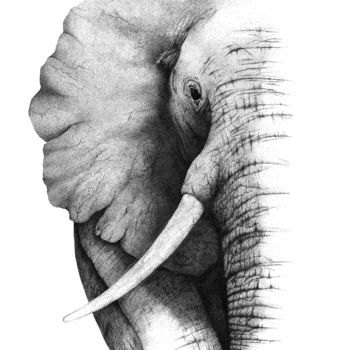 Drawing titled "Elephant and dot. 01" by Jr Brambilla, Original Artwork, Ink