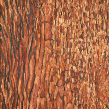 Peinture intitulée "Ecorce de Pin paras…" par Renand, Œuvre d'art originale, Huile Monté sur Châssis en bois