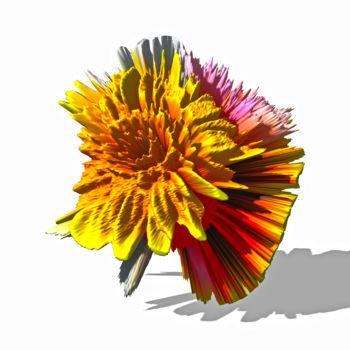 Фотография под названием "flor telepática" - Jose Americo Jsilvares, Подлинное произведение искусства, Цифровая фотография